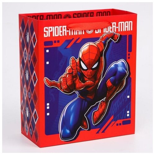 Пакет ламинат вертикальный Spider-Man, Человек-паук, 23х27х11,5 см