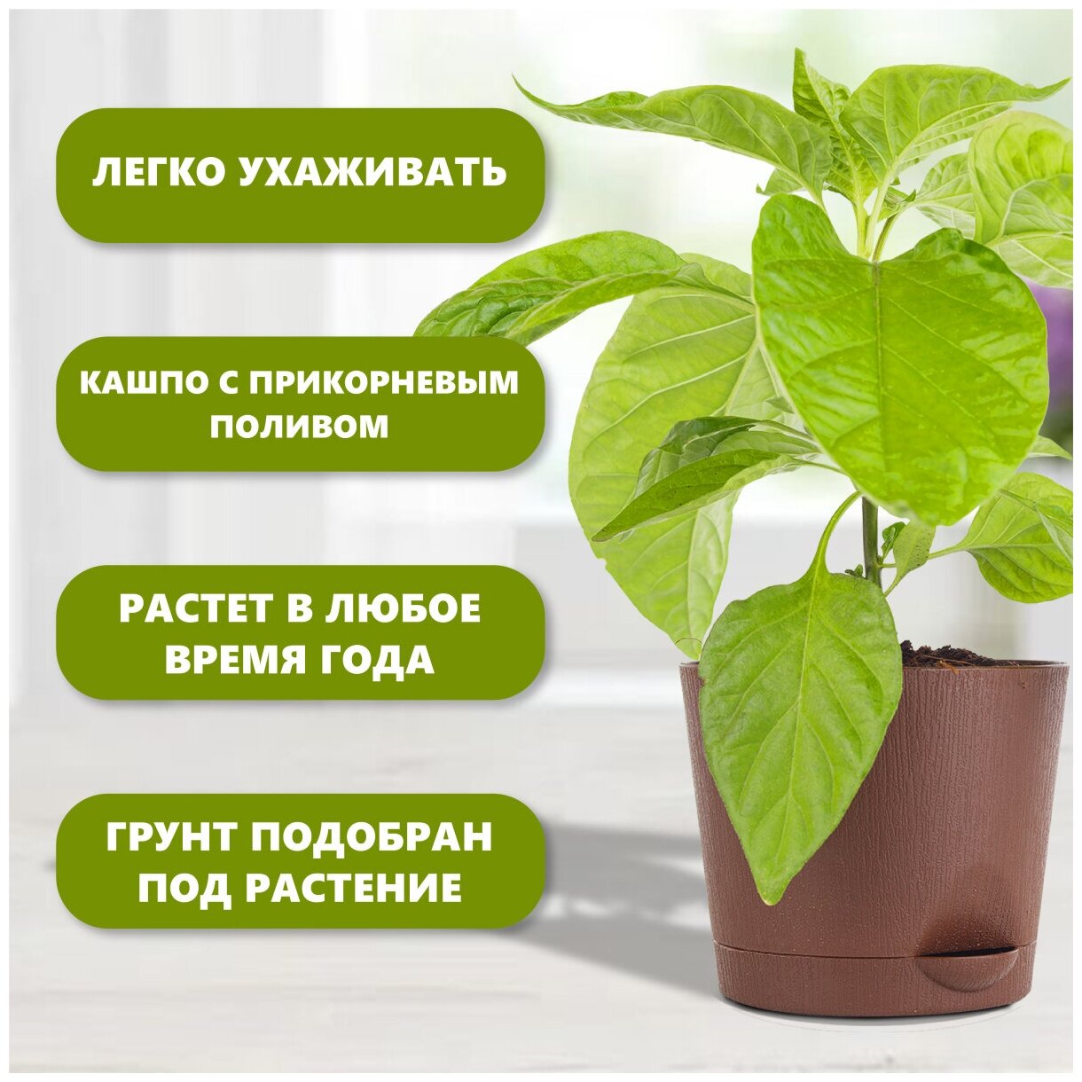 Набор для выращивания растений Три острых перца Plant Republic