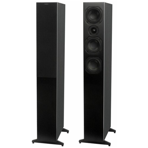 Напольная акустика Scansonic HD L9 Black 11490000₽