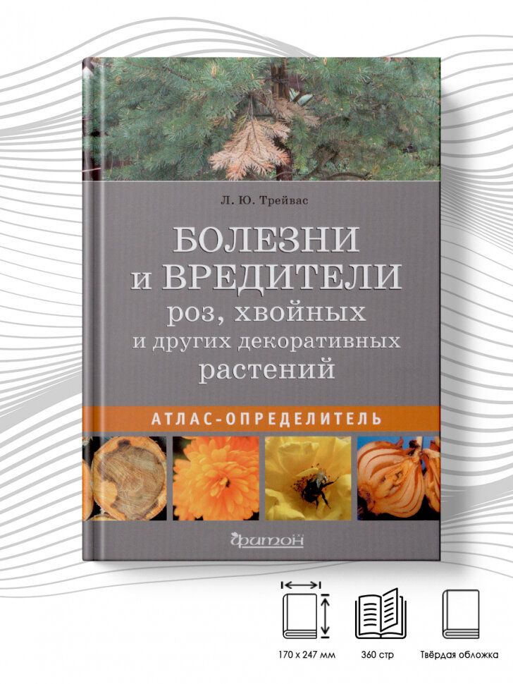 Болезни и вредители роз, хвойных и других декоративных растений. Атлас-определитель - фото №5