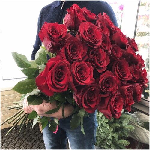 Красные розы 25 штук сорт Explorerl (70 см) премиального качества в крафтовой бумаге
