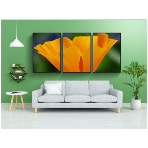 фото Набор модулных постеров для интерьера "eschscholzia californica, мак, цвести" 60x90 см. в тубусе, без рамки lotsprints