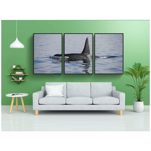 фото Набор модулных постеров для интерьера "природа, море, воды" 60x90 см. в тубусе, без рамки lotsprints