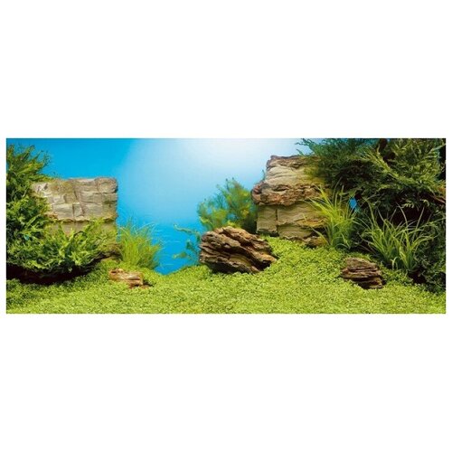 Фон-пленка Juwel Poster1 камни/растительный 100х50см (86260)