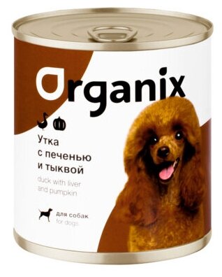 Organix           2216 0,75  42909 (2 )