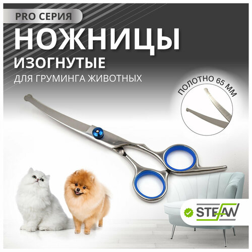 Ножницы PRO изогнутые с закругленными концами для груминга животных STEFAN (Шьефан), полотно 65мм, GSC1265