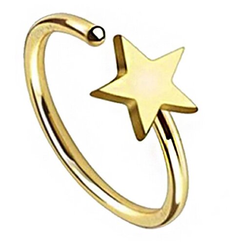 Пирсинг кольцо в нос и ухо со звездочкой золотое