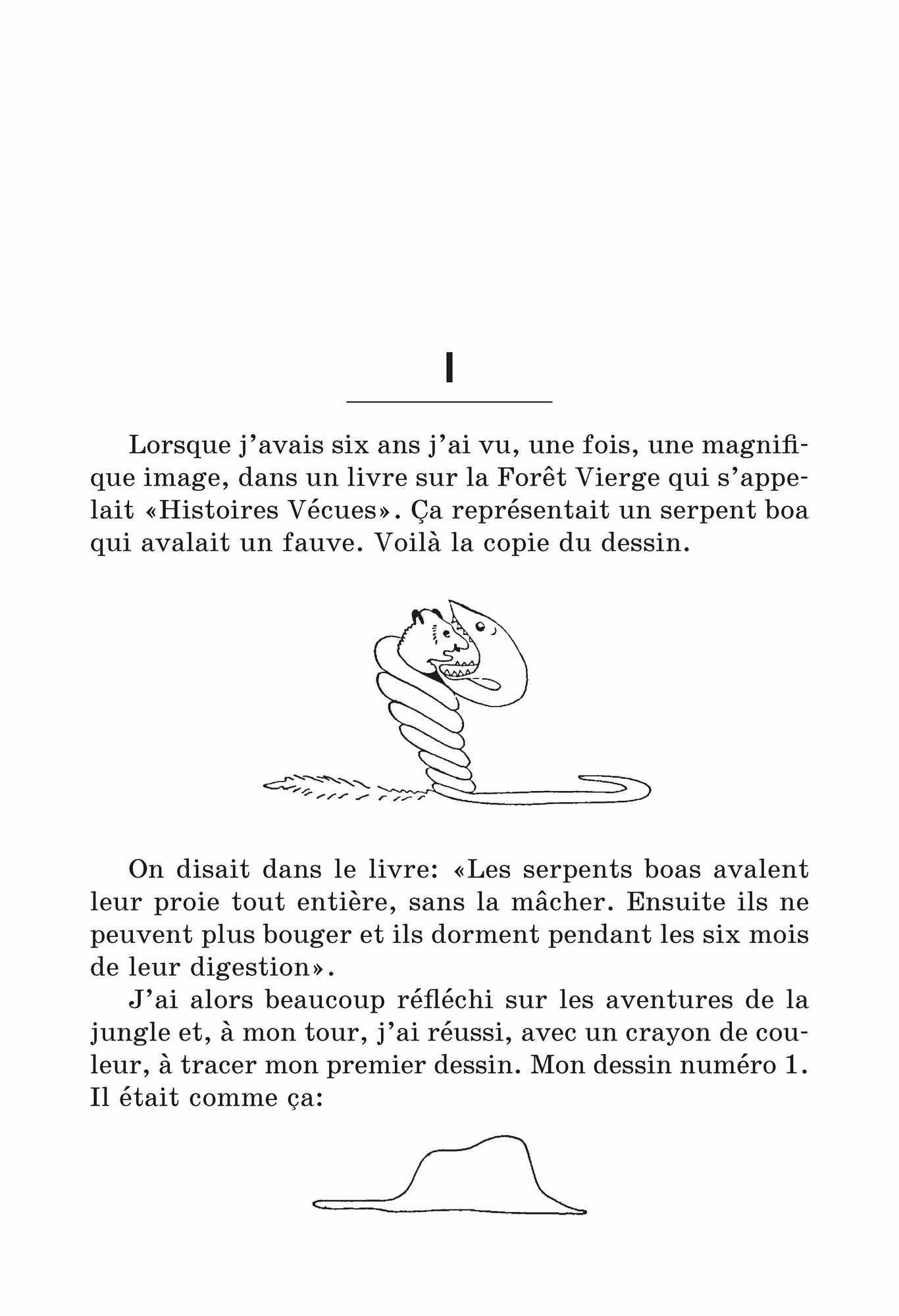 Le Petit Prince. Vol De Nuit (Сент-Экзюпери Антуан де) - фото №4
