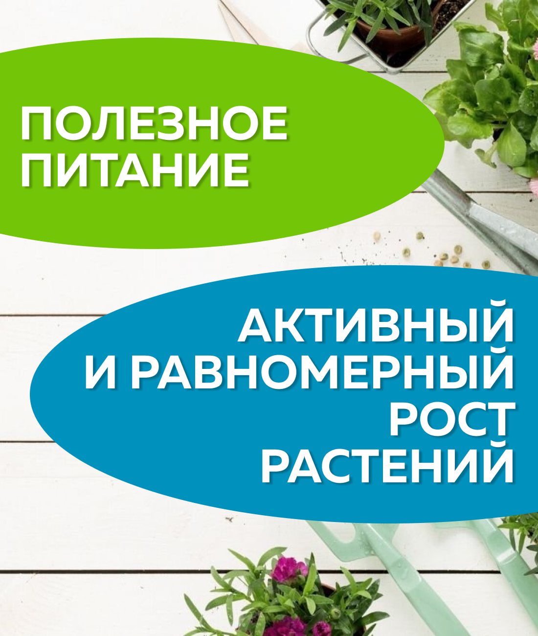 Удобрение Биомастер Крепкая рассада, дойпак, 350 мл