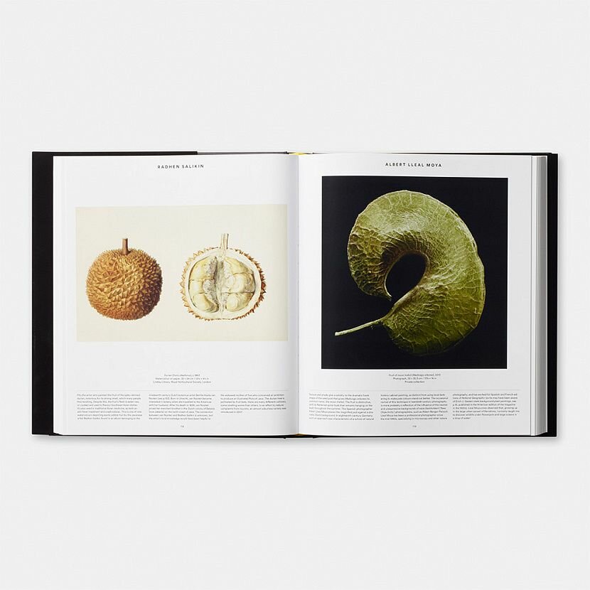 Plant: Exploring the Botanical World - фото №13