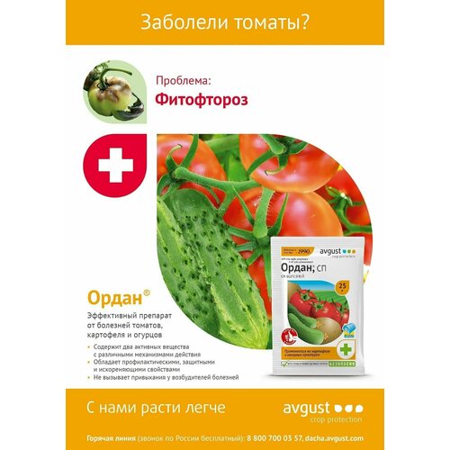 Ордан СП 25 г (2шт в заказе) ордан 12 5г защита от фитофтороза д томатов картофеля август