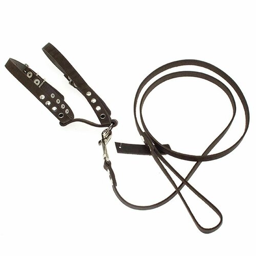 Комплект для мелких собак и щенков Дягилев поводок 121 и шлейка коричневый 1 шт 1759₽