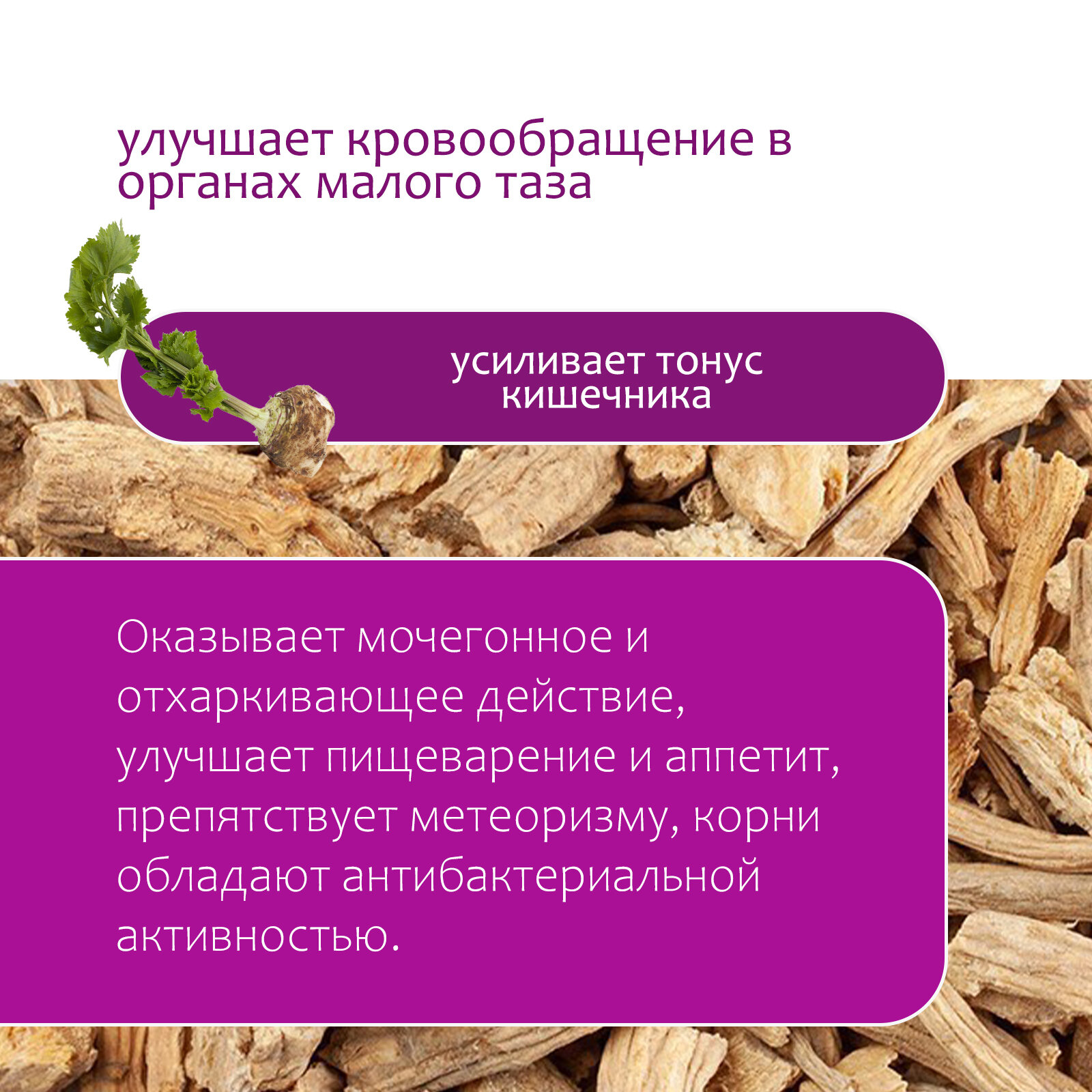 Мочегонные Лекарственные Травы Любисток корень, 100 гр