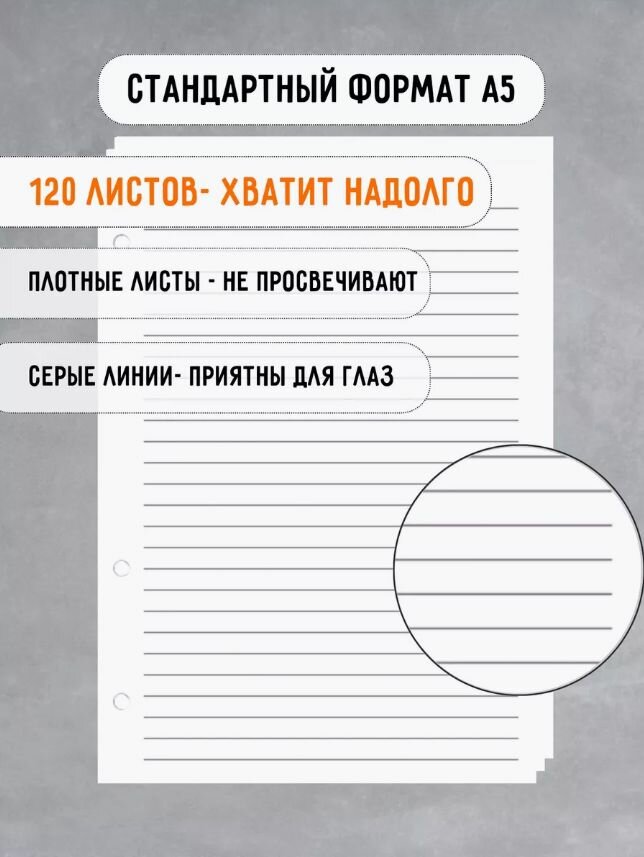 Cменный блок для тетради на кольцах А5 120 листов, в линейку для школы и университета — фото 1