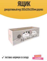 Ящик декоративный "Мур" 300х100х100мм для хранения, деревянный