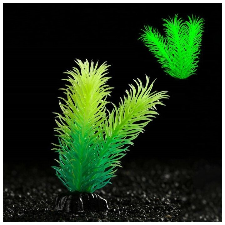 Пижон Аква Растение искусственное аквариумное, светящееся, 8 см, зелёное