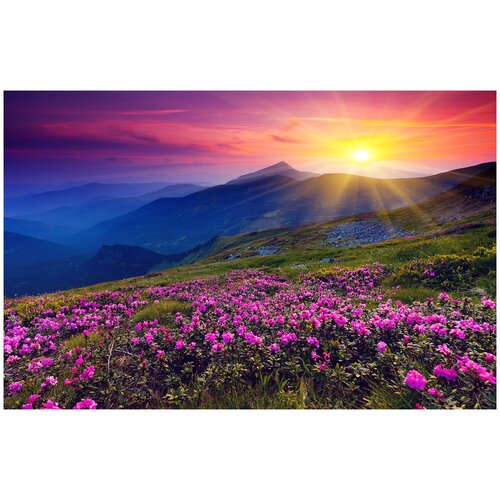 Фотообои Уютная стена Розовые цветы рододендрона на горе 420х270 см Виниловые Бесшовные (единым полотном)