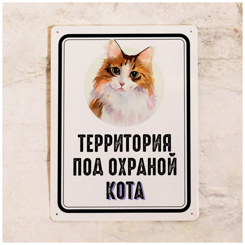Металлическая табличка на забор Территория под охраной рыжего кота , идея подарка владельцу кота , металл, 20х30 см