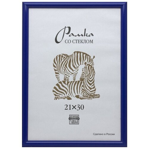 Рамка оформительская Zebra пластиковая, А4, синего цвета