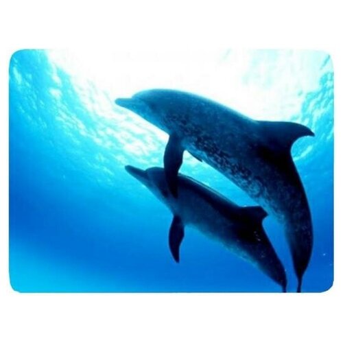 фото Buro коврик для мыши buro bu-m40083 230х180х2мм пластик дельфины