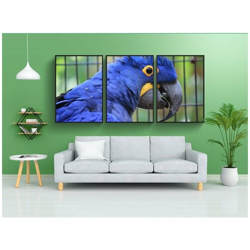 фото Набор модулных постеров для интерьера "ара гиацинт, anodorhynchus hyacinthinus, синий" 60x90 см. в тубусе, без рамки lotsprints