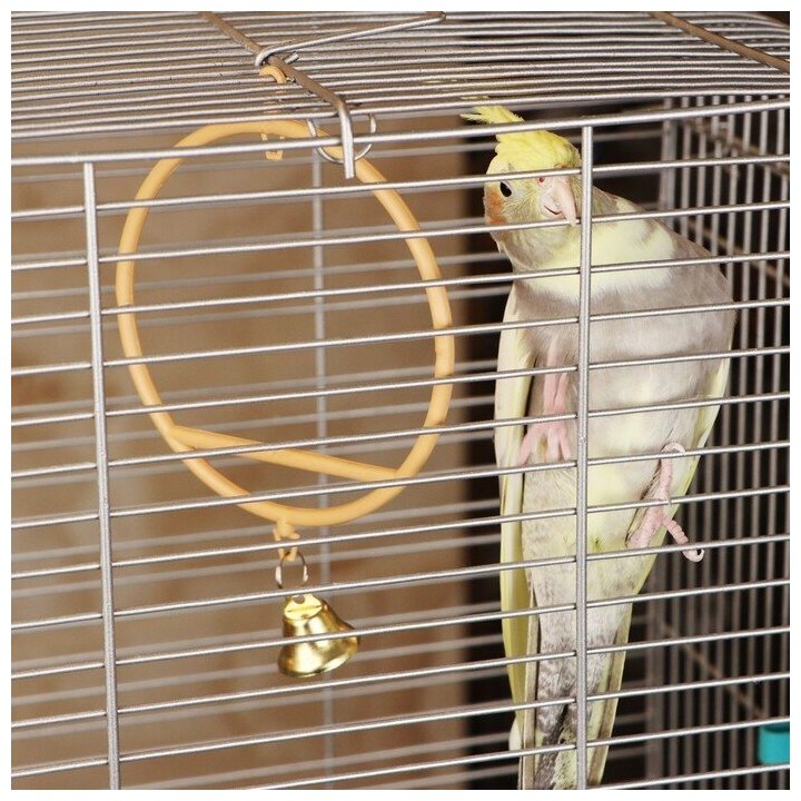 Качели для птиц круглые d 11,5 см, с колокольчиком, бежевые - фотография № 1