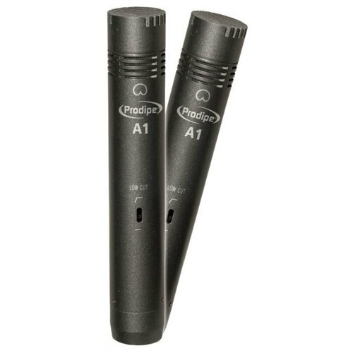 Вокальный микрофон конденсаторный Prodipe PRO2XA1 1357000₽