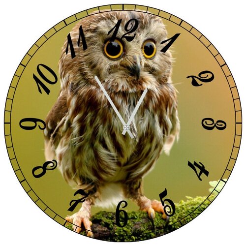 фото Svs настенные часы svs 3501873 а я думала это сова