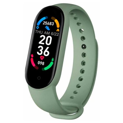 BandRate Smart BRSM66BGN 187000₽