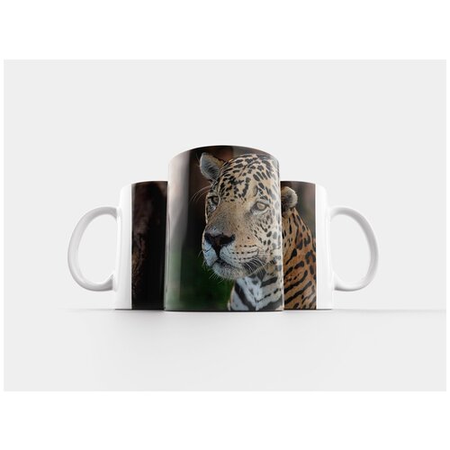 фото Кружка "ягуар, глаза, пятнистый" 320 мл lotsprints