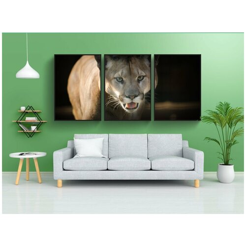 фото Набор модулных постеров для интерьера "пума, глаза, закрыть" 60x90 см. в тубусе, без рамки lotsprints