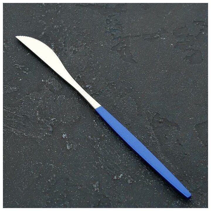 Нож столовый Magistro «Блинк», 22 см, цвет серебряный, синяя ручка, на подвесе - фотография № 1