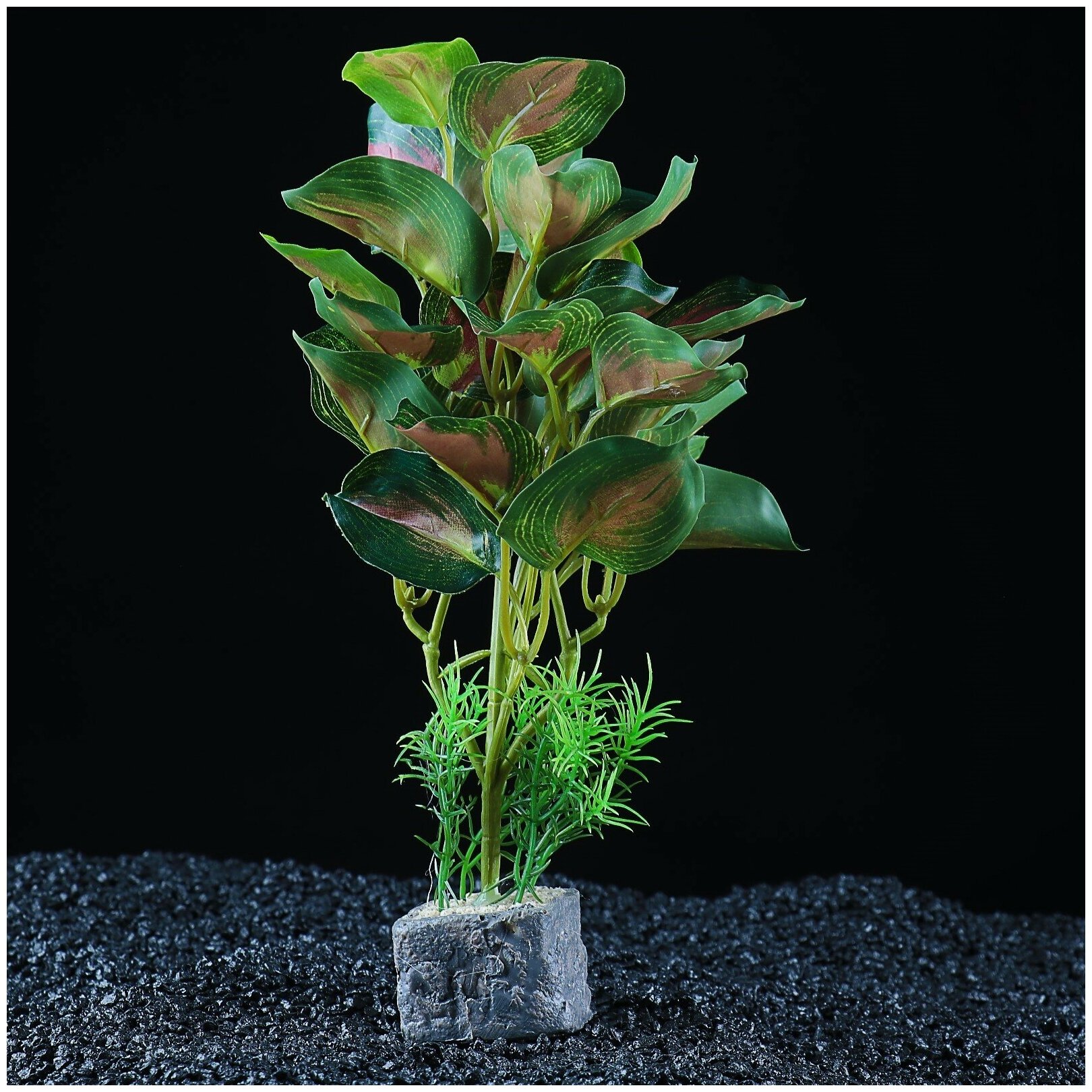 Пижон Аква Растение аквариумное "в горшочке", 31 х 23 х 19 см - фотография № 3