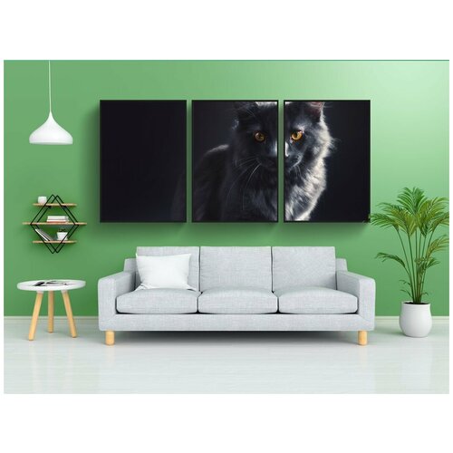 фото Набор модулных постеров для интерьера "кот, котенок, серый" 60x90 см. в тубусе, без рамки lotsprints