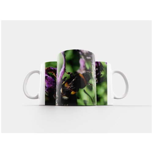 фото Кружка "пчела, животные, насекомое" 320 мл lotsprints