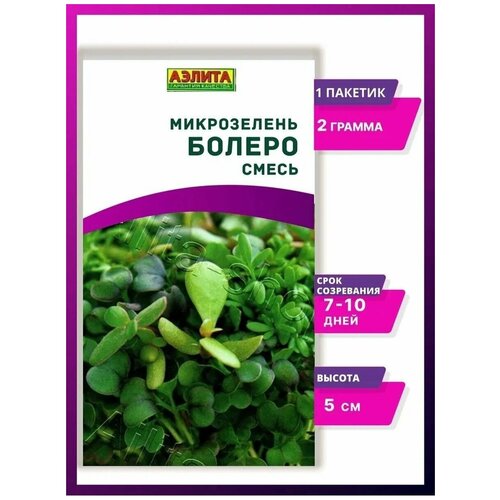 Набор микрозелени Болеро - 1 упаковка