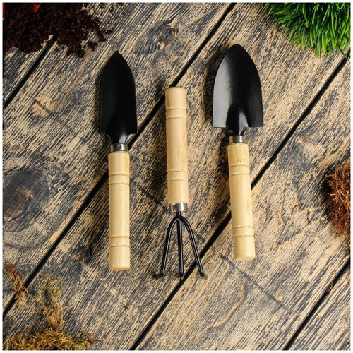 Набор садового инструмента, 3 предмета: рыхлитель, 2 совка, длина 20 см, деревянные ручки (1 шт.)