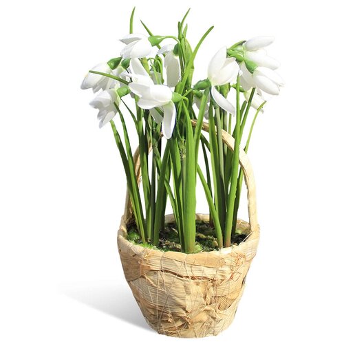 Искусственное растение Подснежник в корзинке Gerard de ros