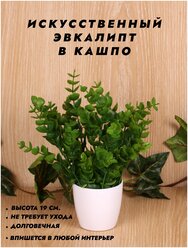 Искусственные цветы / Эвкалипт в кашпо / Новогодний декор / В подарок / Растения для дома / Высота 19 см.