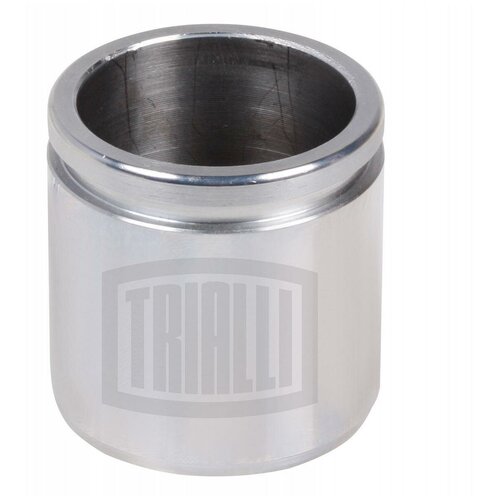 Поршень суппорта перед. для а/м Chevrolet/Daewoo d=48mm DAC (RCF 052302)