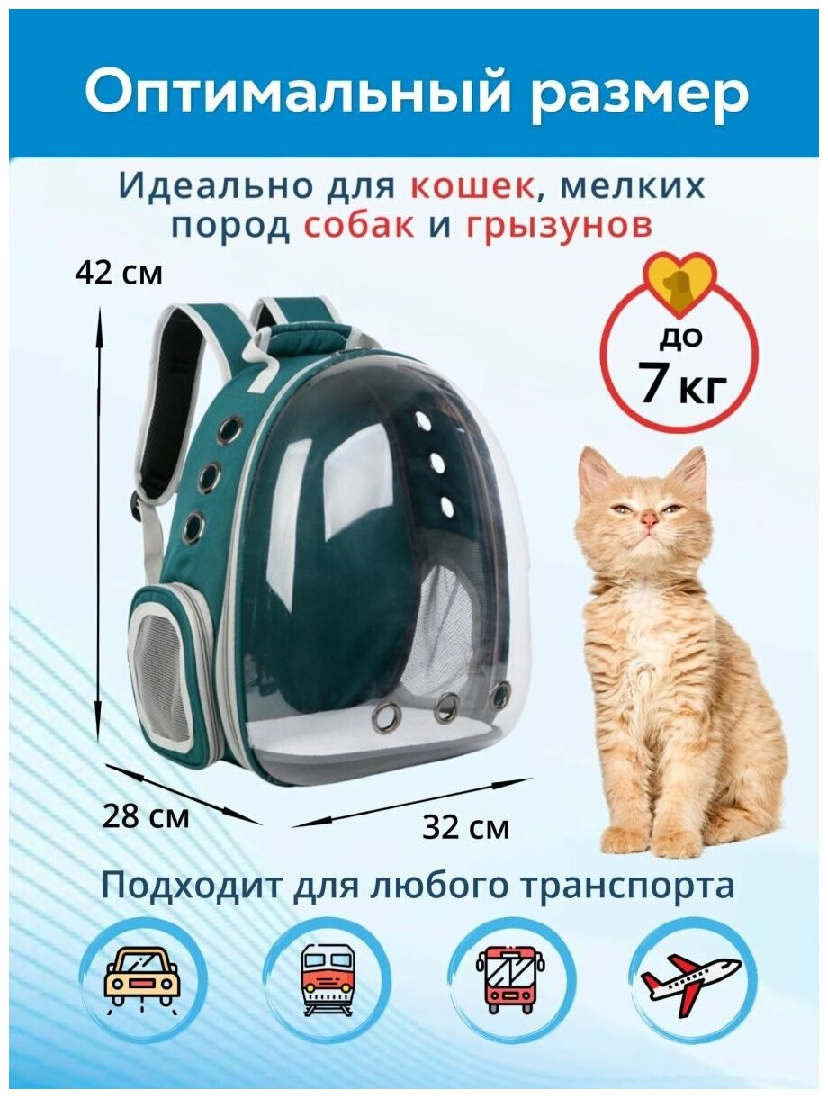 Рюкзак переноска для кошек, собак и грызунов / Рюкзак с иллюминатором для животных до 7 кг - фотография № 2