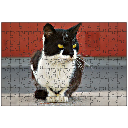 фото Магнитный пазл 27x18см."кошка, сидя, часы" на холодильник lotsprints