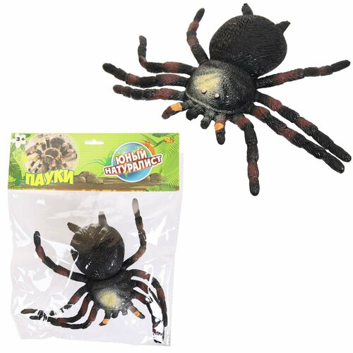 фото Фигурка abtoys юный натуралист пауки паук черный с желто-голубым рисунком, термопластичная резина