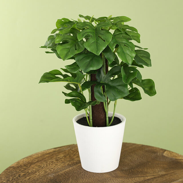 фото Koopman Искусственное растение в горшке Monstera 25 см 318001040