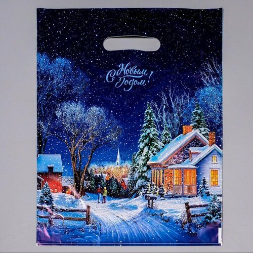 Пакет Снежная дорожка полиэтиленовый с вырубной ручкой 30х40 см 30 мкм набор 10 штук 475₽