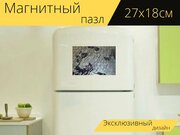 Магнитный пазл "Сирия, ближний восток, карта" на холодильник 27 x 18 см.