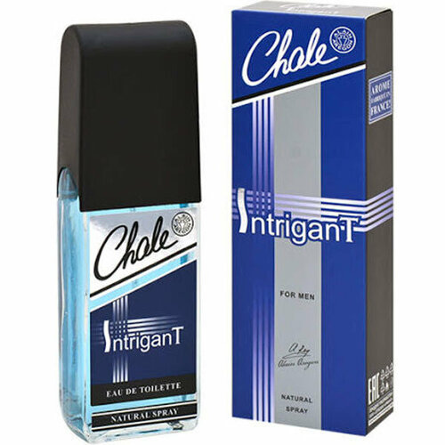 Positive Parfum Туалетная вода мужская Chale Intrigant, 100 мл