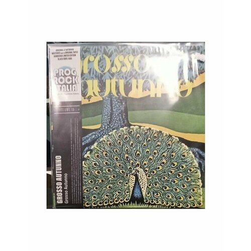 grosso autunno grosso autunno 1lp 2022 black 180 gram limited виниловая пластинка 0602438264445, Виниловая пластинка Grosso Autunno, Grosso Autunno