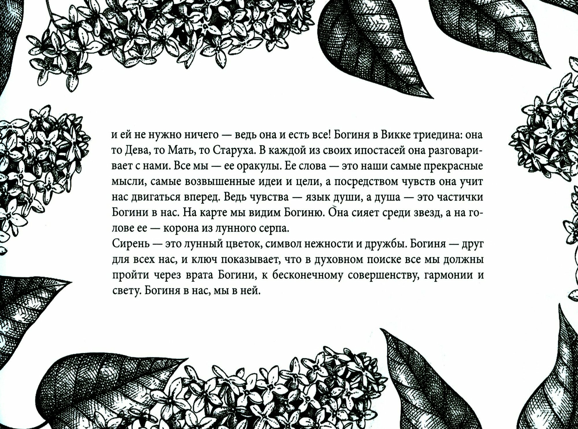 Викканский Оракул Теней. Заклинание Луны, ритуалы Солнца (48 карт + брошюра) - фото №9