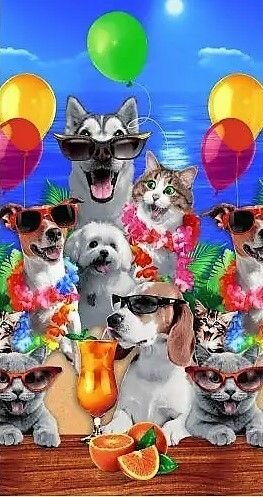 фото Полотенце вафельное банное пляжное Веселая компания 80*150 см